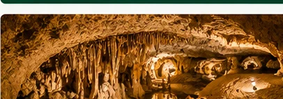 Illustrated view for The Remarkable History of Longhorn Cavern